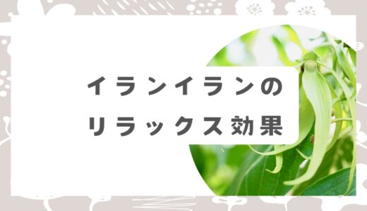 イランイランのリラックス効果と使い方｜自宅で手軽にリラクゼーションを楽しもう